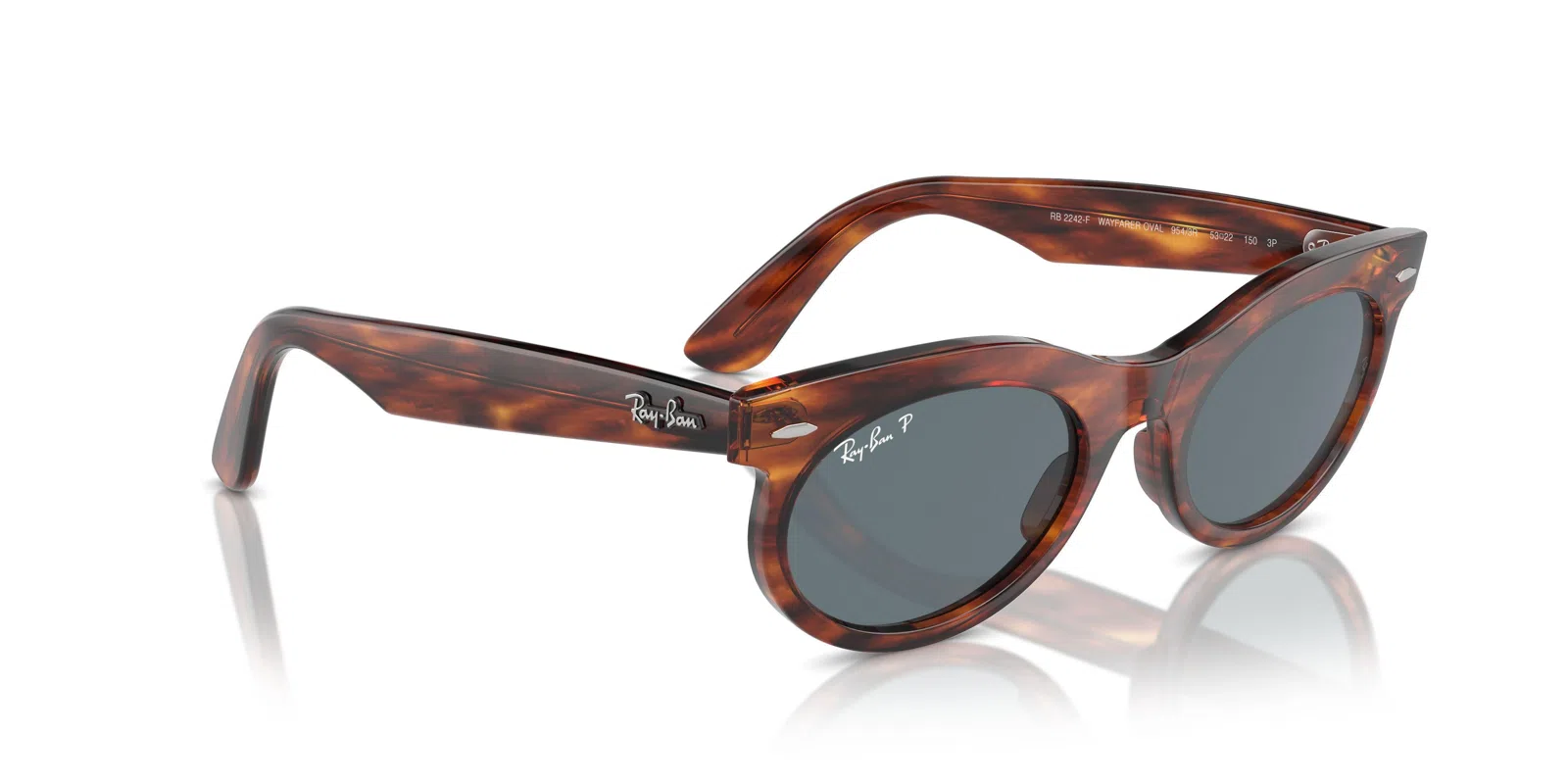 Ray-Ban Wayfarer Oval 2242F Sunglasses - view 69